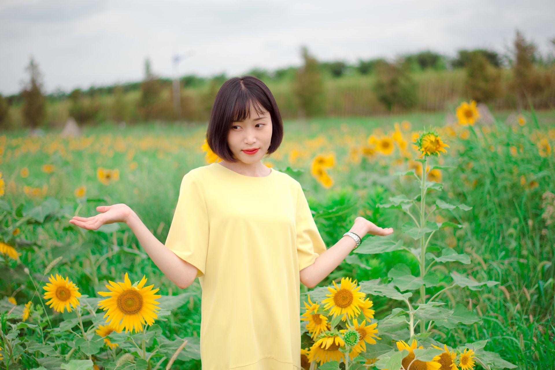 해바라기 들판 인물 촬영 4