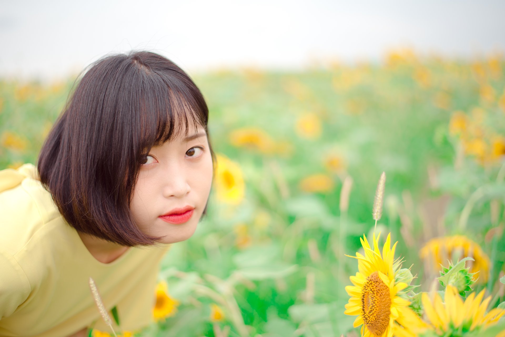 해바라기 들판 인물 촬영 3