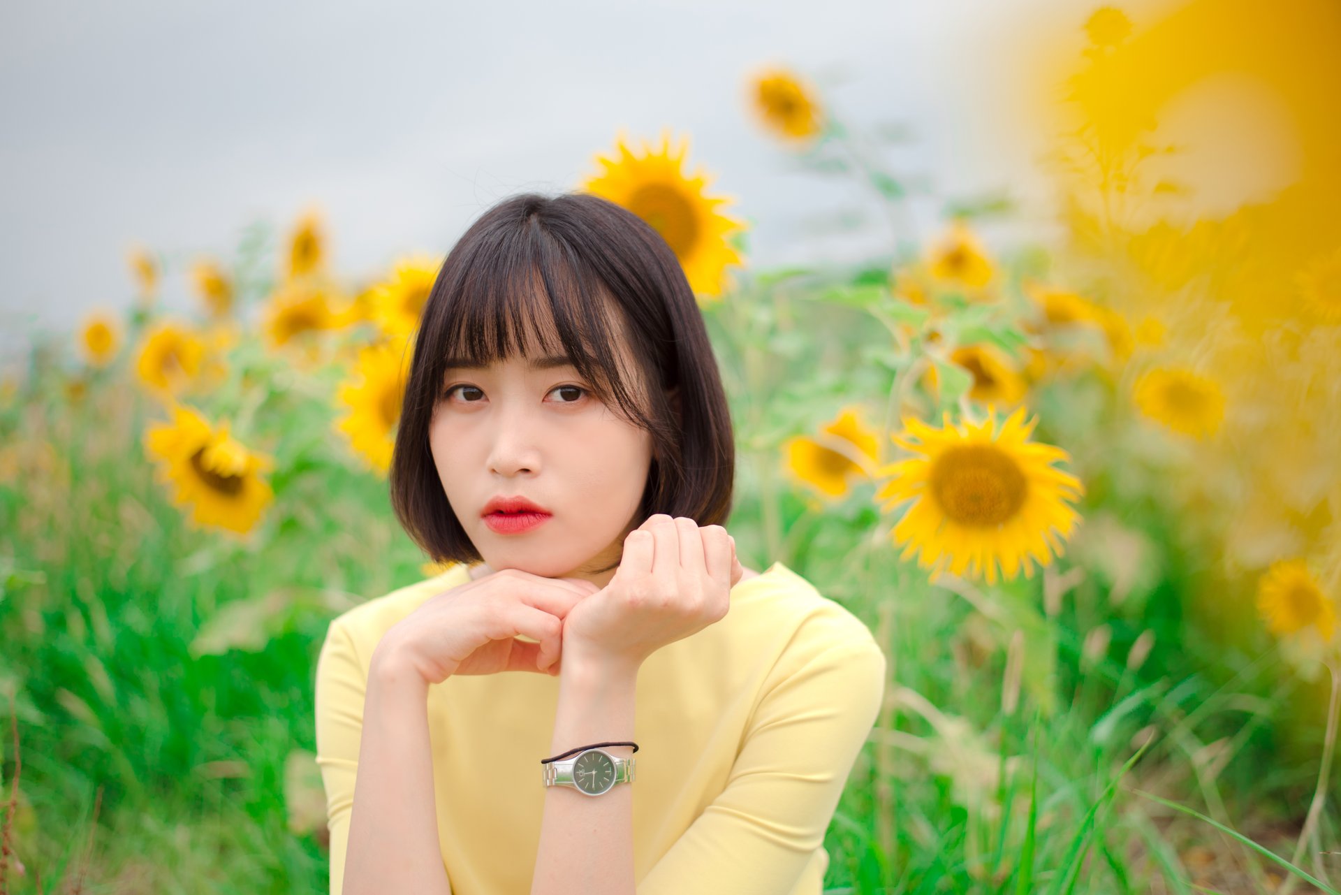 해바라기 들판 인물 촬영 2