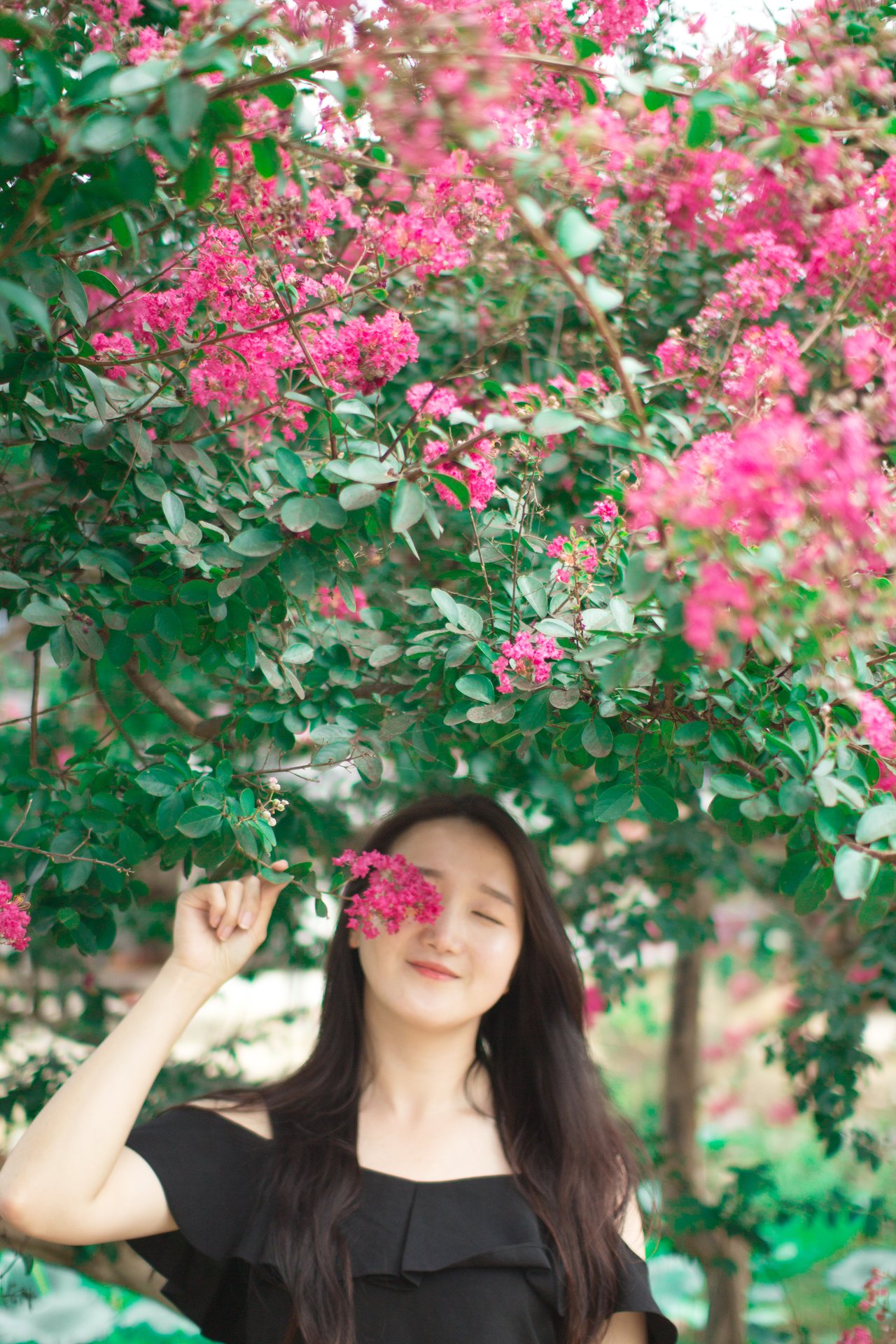한옥 배롱나무 인물 촬영 2